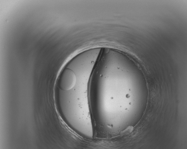 X0000060241514200511041243