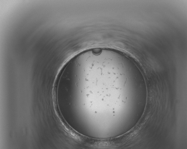 X0000060241517200511041243