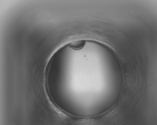 X0000060241518200511041243