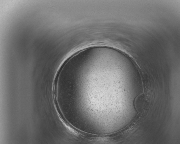 X0000060241519200511041243