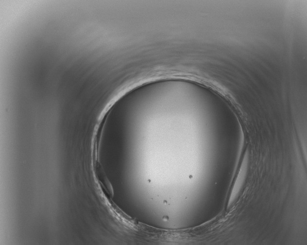 X0000060241520200511041243