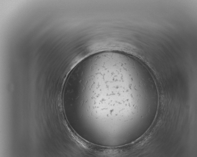 X0000060241521200511041243