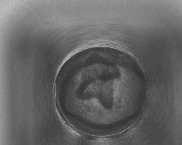 X0000060241522200511041243