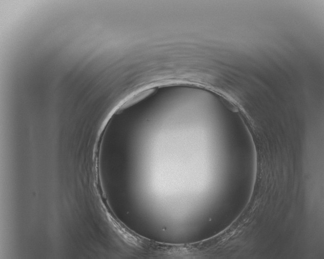 X0000060241524200511041243