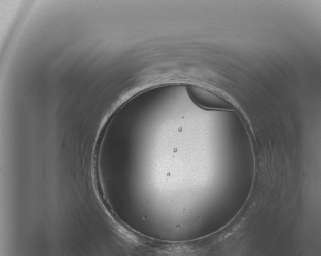 X0000060241525200511041243