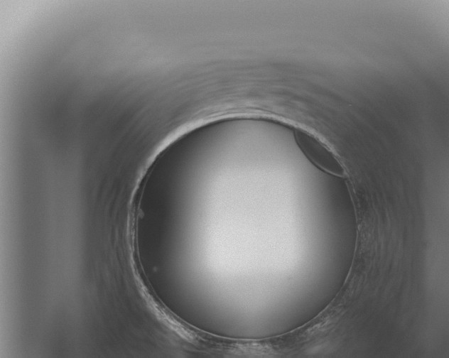 X0000060241526200511041243