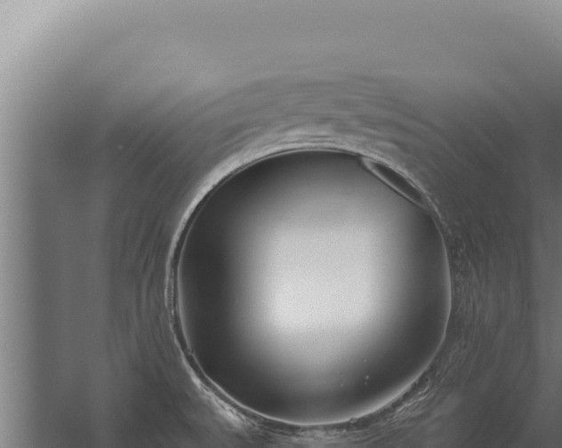 X0000060241527200511041243