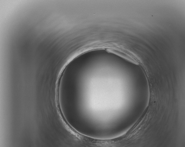 X0000060241528200511041243