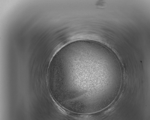 X0000060241529200511041243