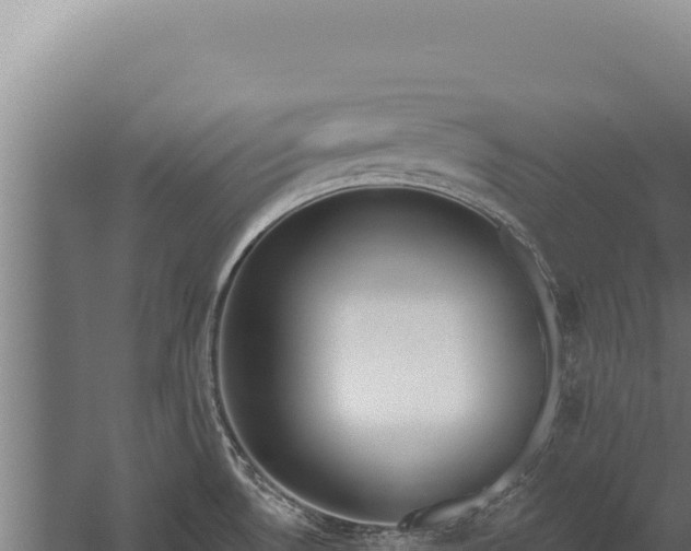 X0000060241530200511041243