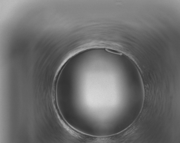 X0000060241531200511041243