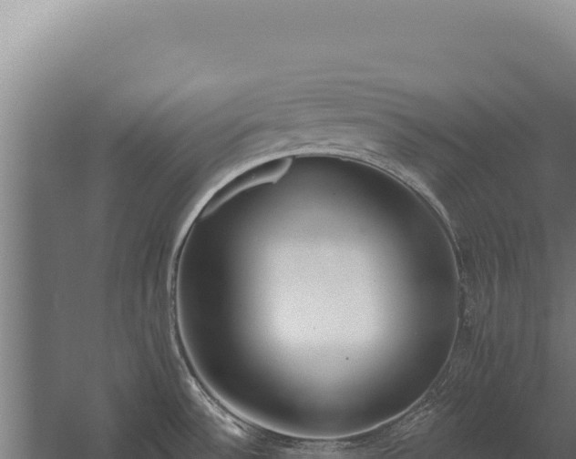 X0000060241532200511041243