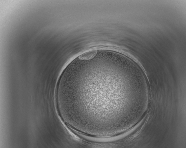 X0000060241533200511041243