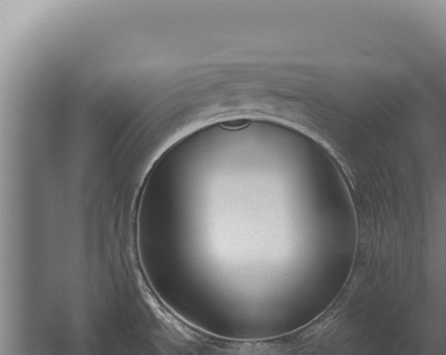 X0000060241534200511041243