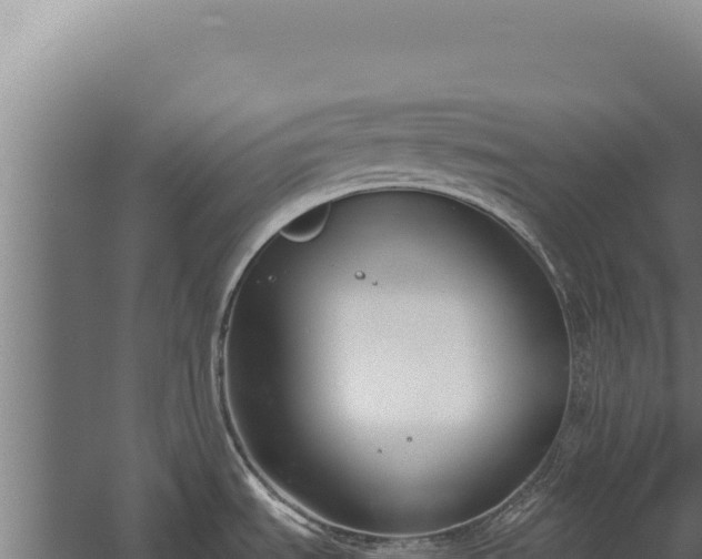 X0000060241535200511041243