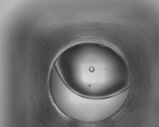 X0000060241536200511041243