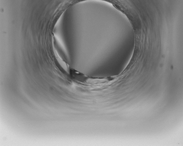 X0000060240035200511111941