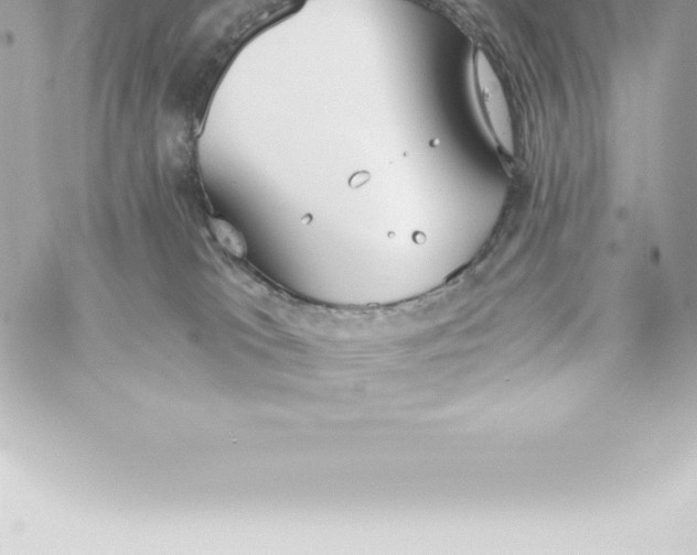 X0000060240037200511111941