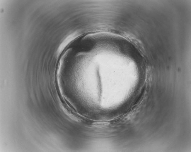 X0000060240051200511111940