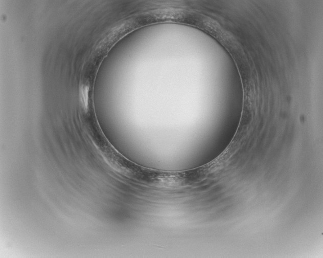 X0000060240070200511111940