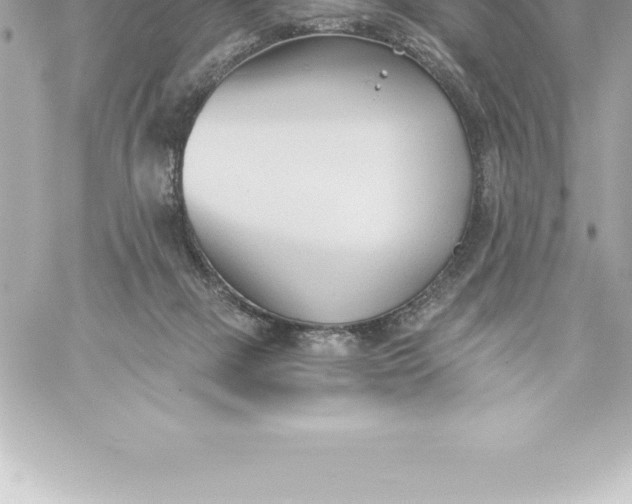 X0000060240073200511111940