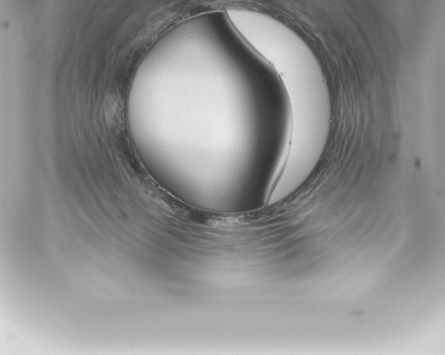 X0000060240079200511111940