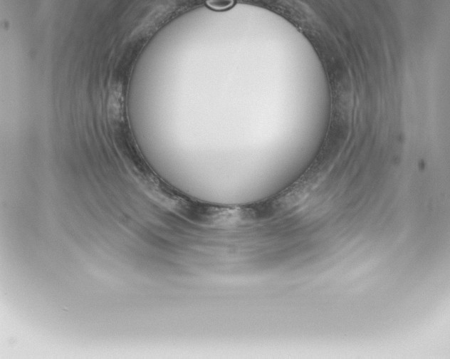 X0000060240083200511111940