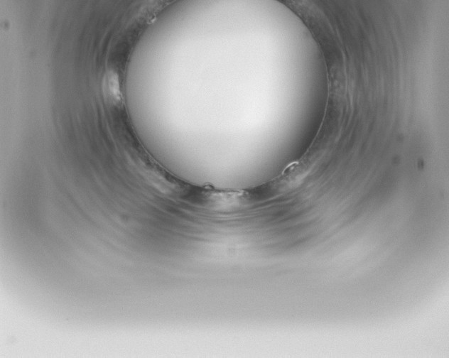 X0000060240089200511111940