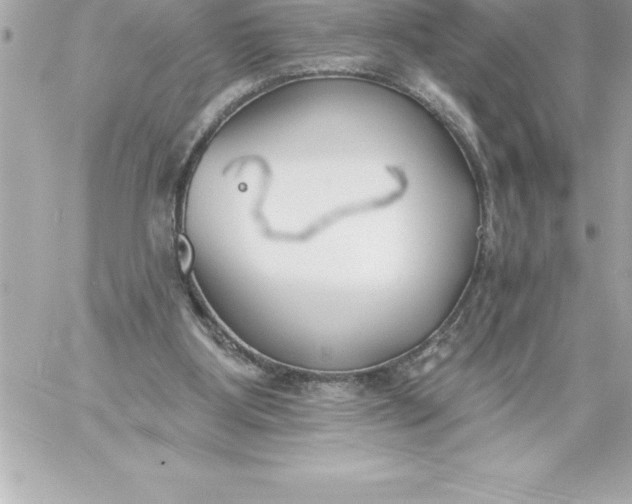 X0000060240107200511111940