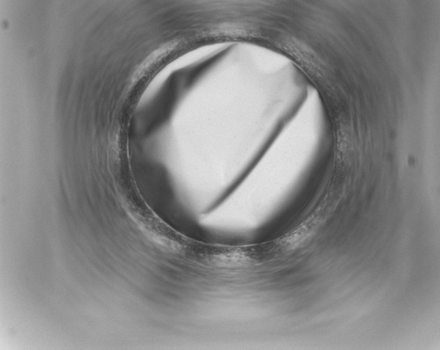 X0000060240112200511111939