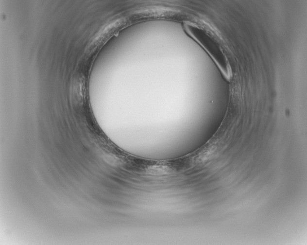 X0000060240119200511111939