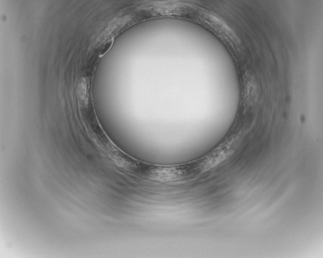 X0000060240121200511111939