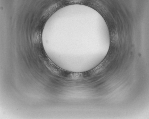 X0000060240126200511111939