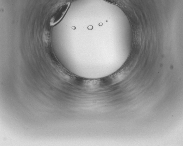 X0000060240135200511111939