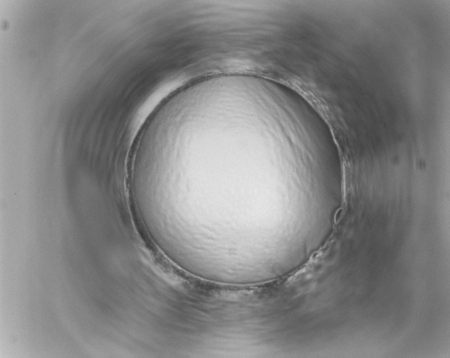 X0000060240147200511111938