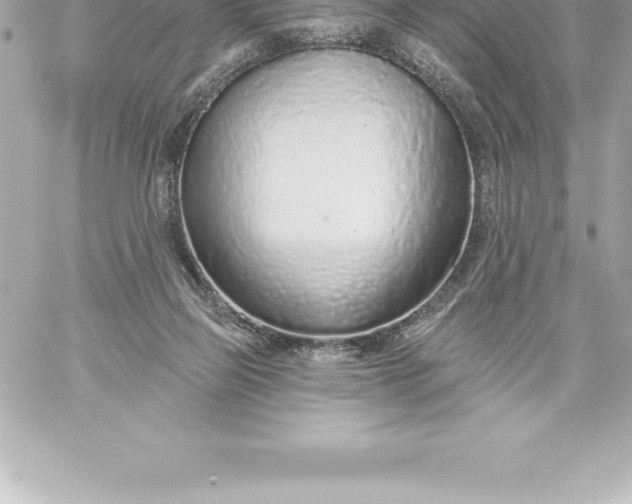 X0000060240165200511111938
