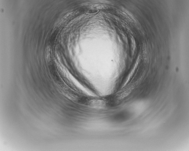 X0000060240169200511111939