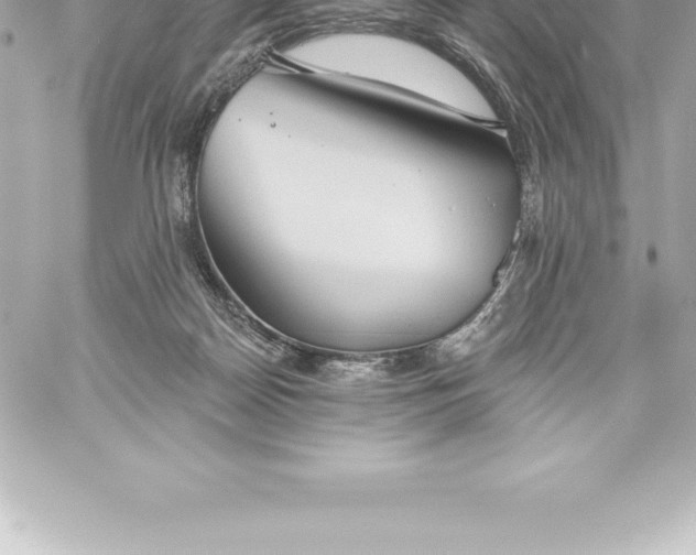 X0000060240170200511111939