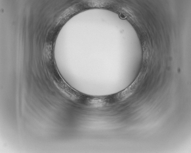 X0000060240171200511111939