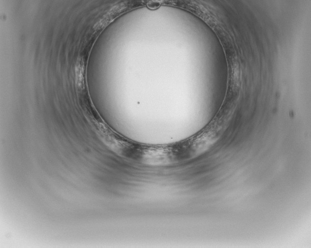 X0000060240177200511111939