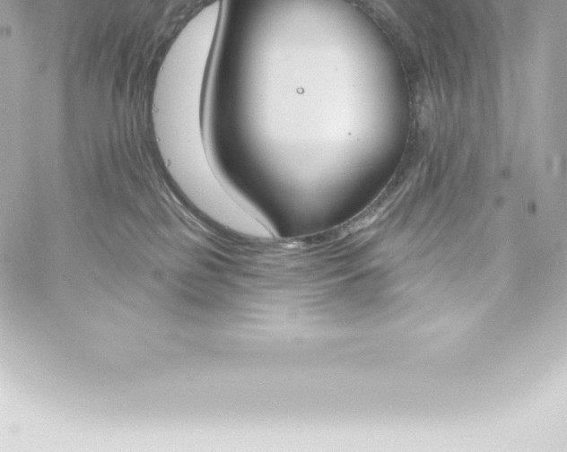 X0000060240185200511111939