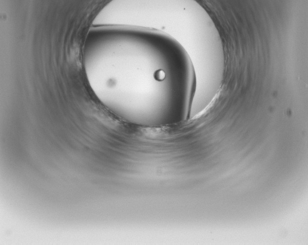 X0000060240187200511111939