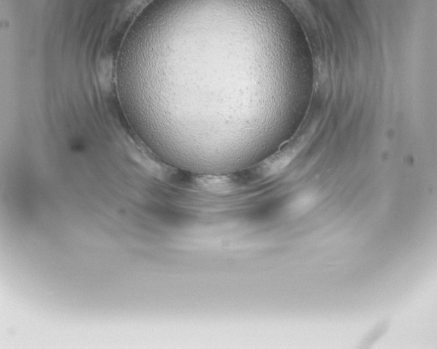 X0000060240189200511111939