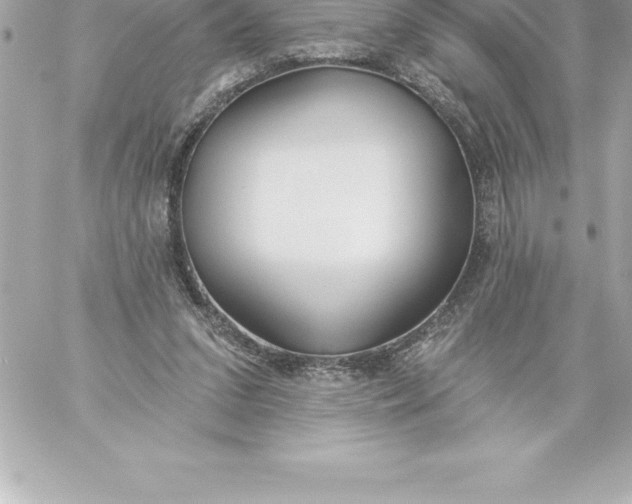X0000060240207200511111938