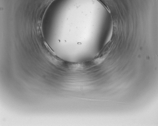 X0000060240237200511111937