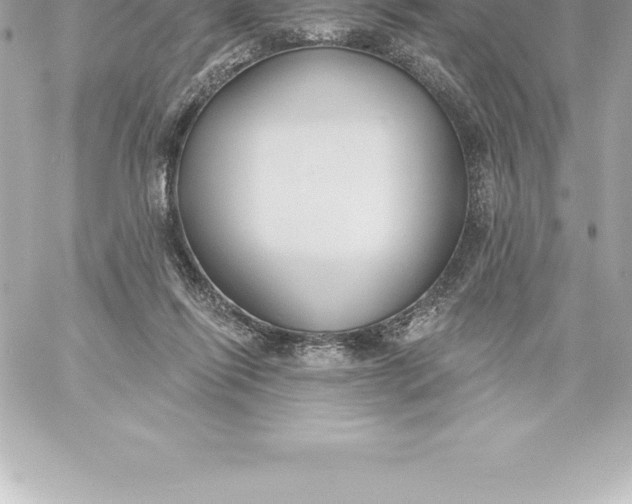 X0000060240262200511111937