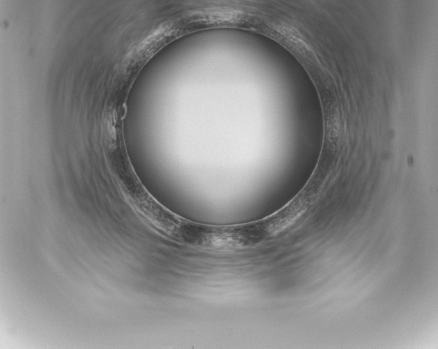 X0000060240264200511111937
