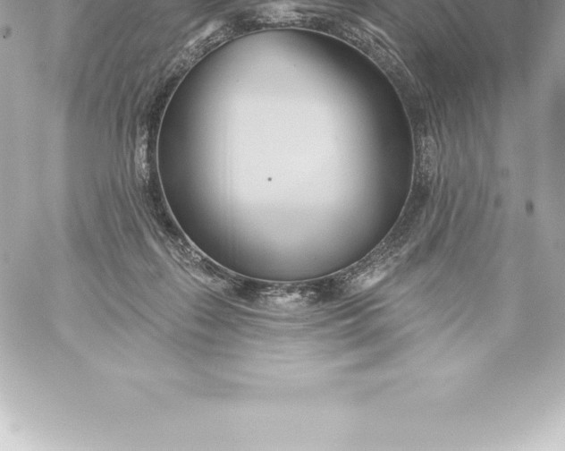 X0000060240267200511111937