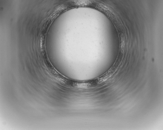 X0000060240268200511111937