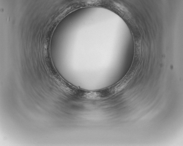 X0000060240269200511111937